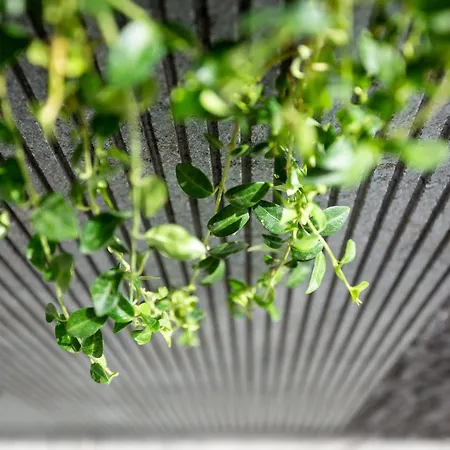 Lejlighed Mare's 1 *