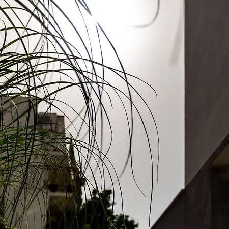 Apartment Mare's 1 *