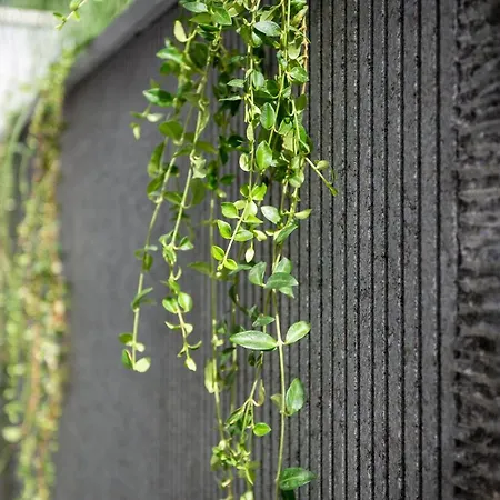 아파트 Mare's 1 *