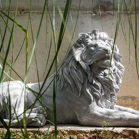 Mare's 1 Apartment Split