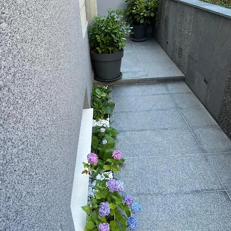 Mare's 1 * 斯普利特