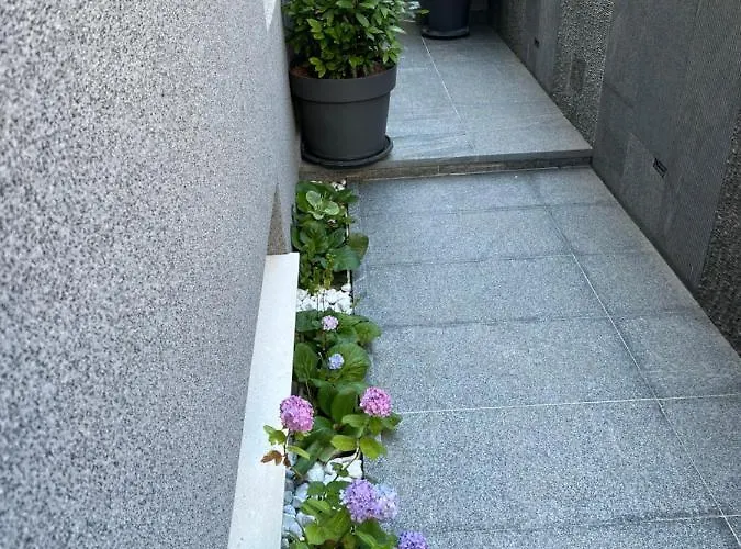 Mare's 1 * سبليت